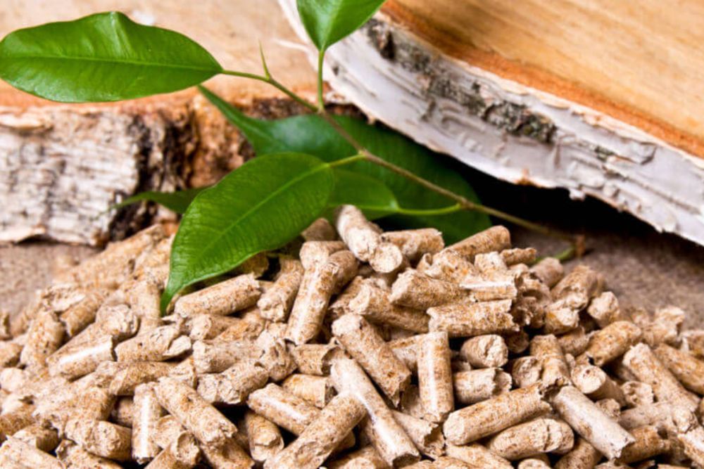 Aquecedor a Biomassa: Sustentabilidade e Economia para sua Casa