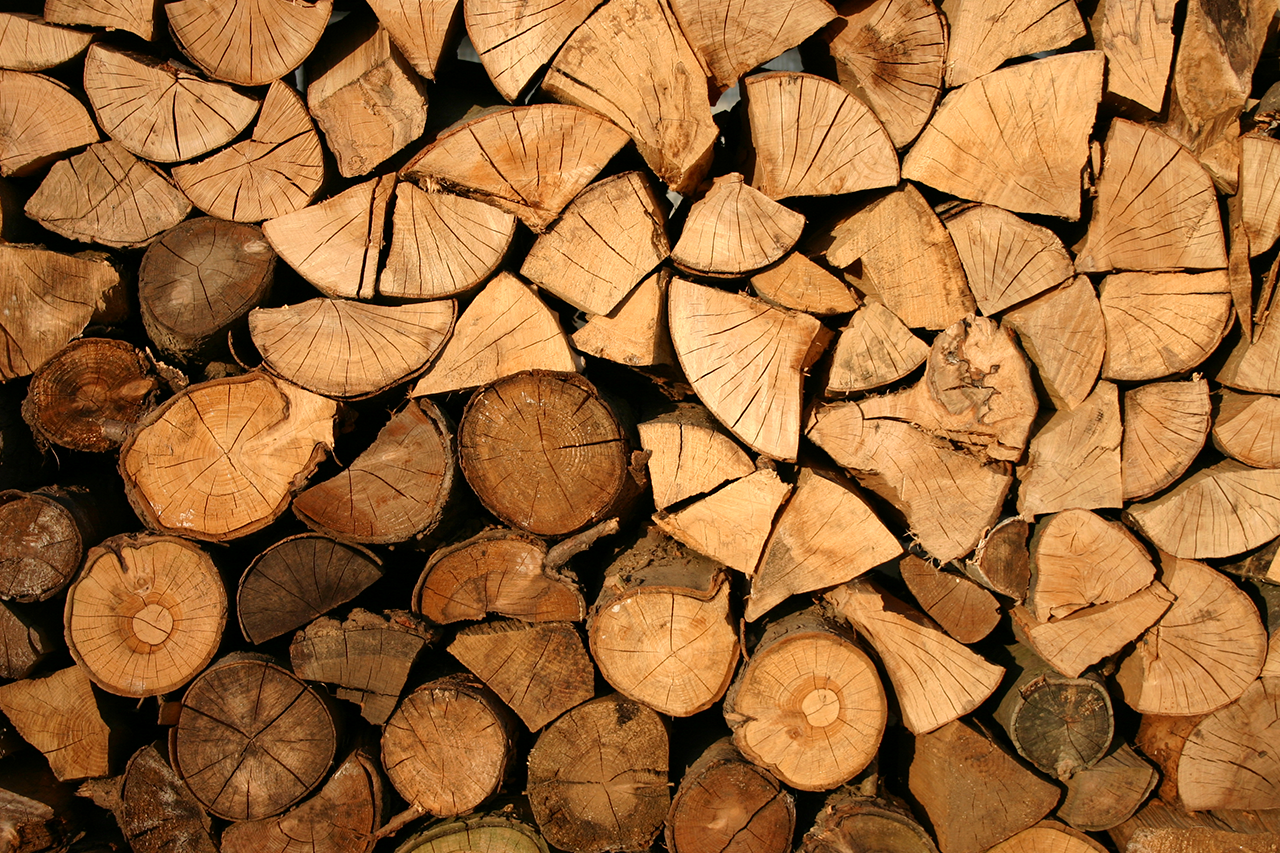 Conheça os tipos de madeiras mais utilizados na marcenaria