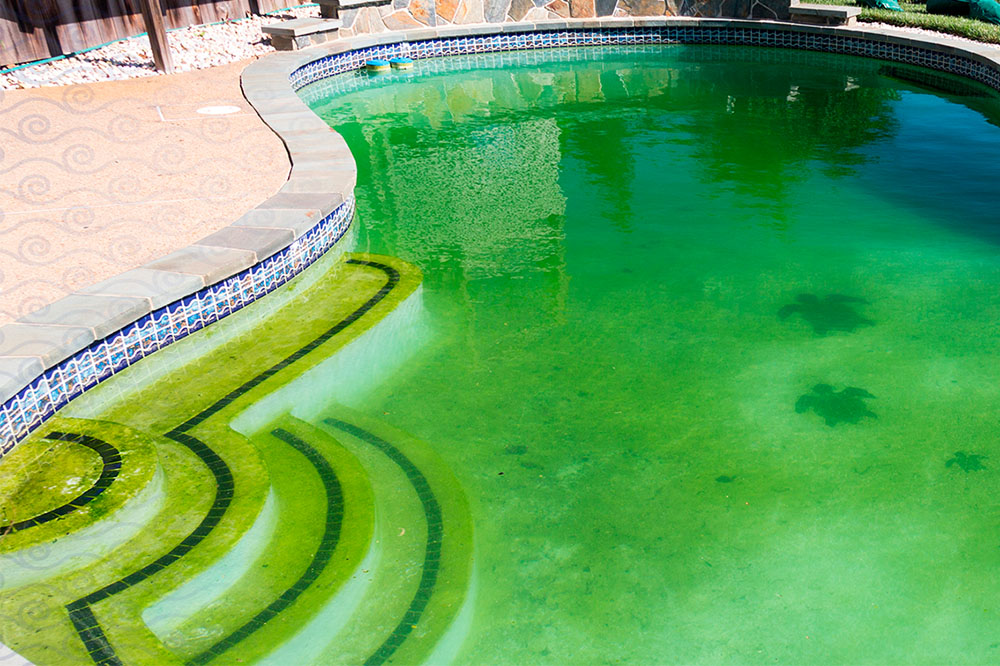 Água da piscina esverdeada? Saiba o que fazer!