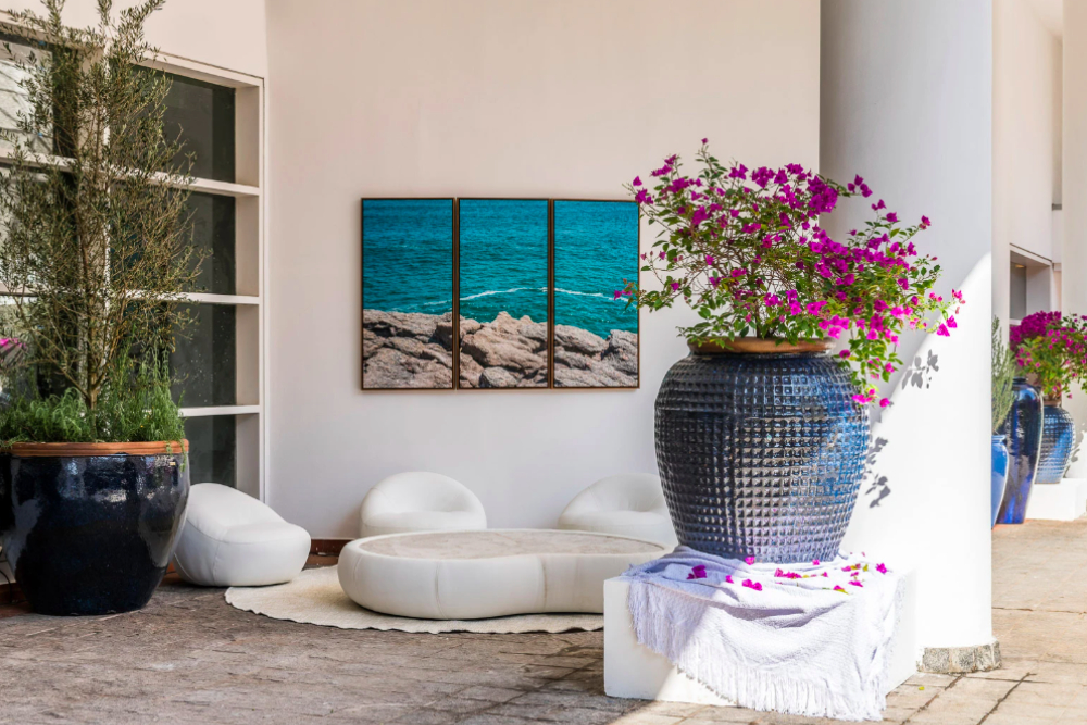 Aprenda a cultivar Bougainville com o paisagista Luciano Zanardo