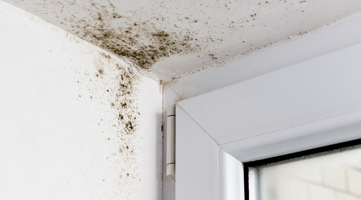 Conheça a termografia para detecção de vazamentos