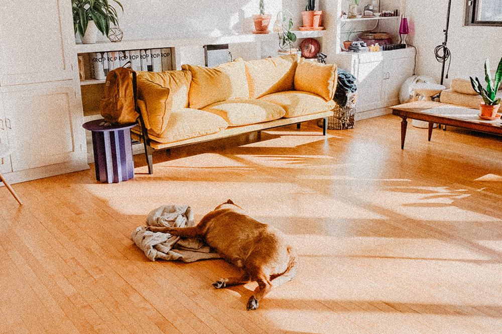Pisos vinílicos: principais vantagens e como realizar a limpeza