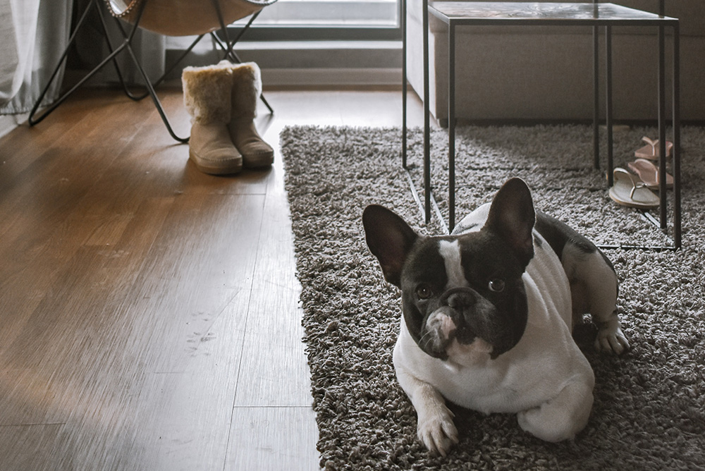 Piso laminado ou porcelanato: qual escolher?