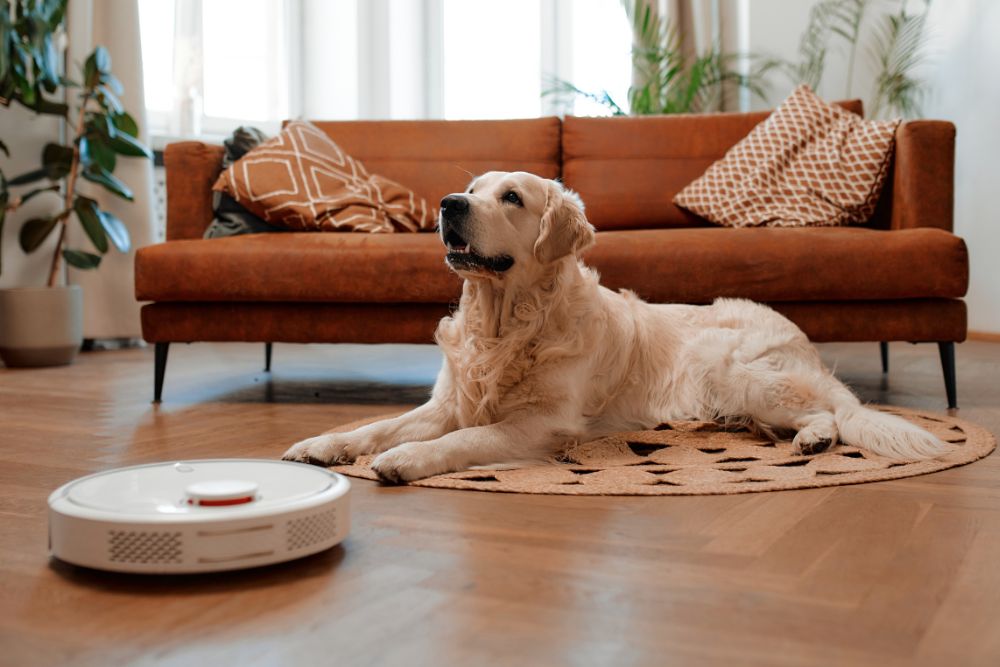 Pisos laminados: Descubra qual cor combina melhor com a sua casa!