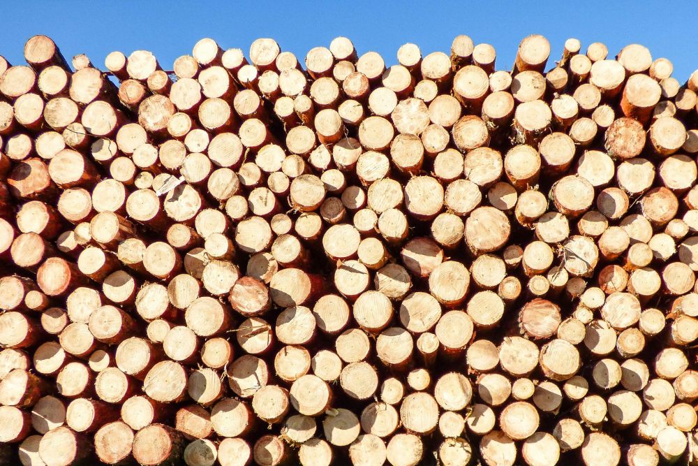 Tipos de Madeira Usadas na Construção