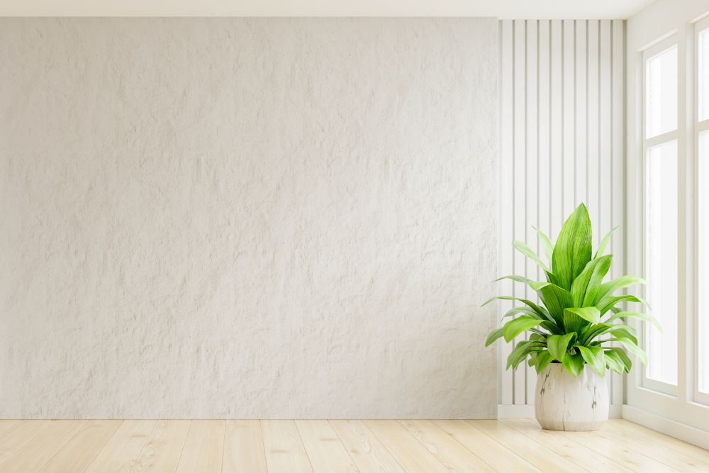 Tipos de Revestimentos de Gesso: Reboco, Gesso Liso, Texturado e 3D