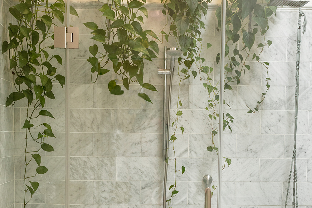 Urban Jungle: Como Ter um Jardim Dentro do Banheiro
