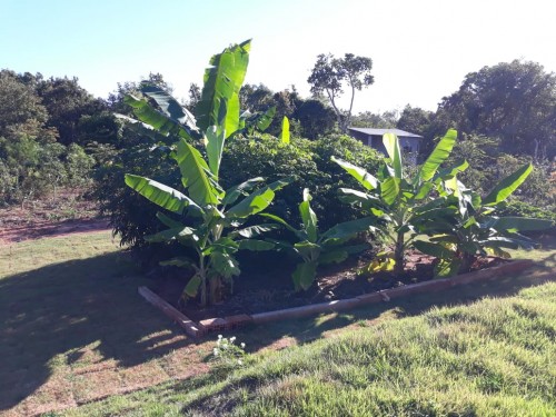 Adriana Galbiati - Galeria