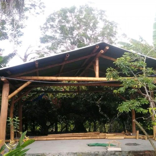 Apema Associação de Permacultores da Mata Atlântica  - Galeria