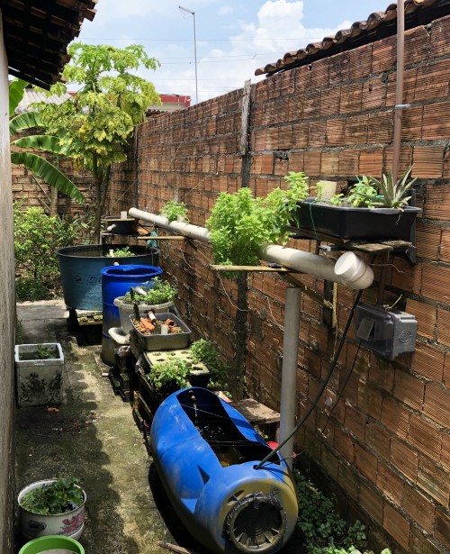 Brenda Lima - Galeria