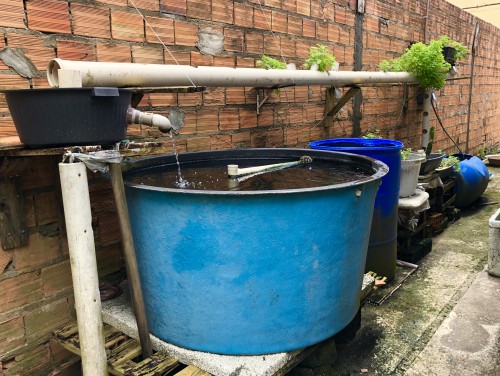 Brenda Lima - Galeria