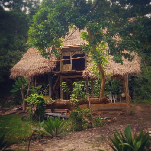 Casa do Carimbó Fortalezinha - Galeria