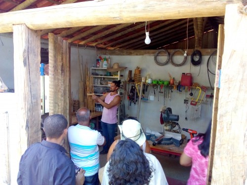 Coletivo Raiz & Cipó