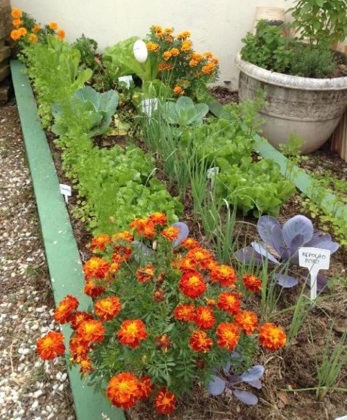 EcoBlum Jardinagem Agroecológica - Galeria