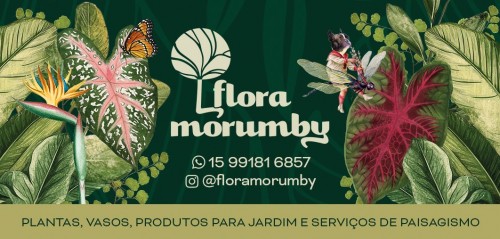 Flora Morumby 
