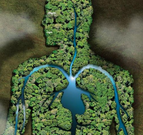 Instituto de Cooperação e Desenvolvimento AMBIENTE TOTAL