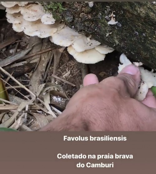 João Baranov - Galeria