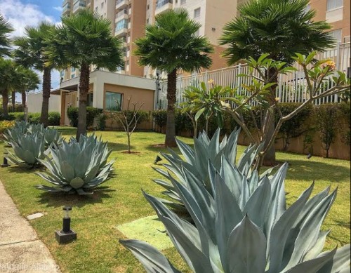 Melhor Jardim - Galeria