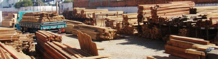 Pollo Madeiras - Galeria