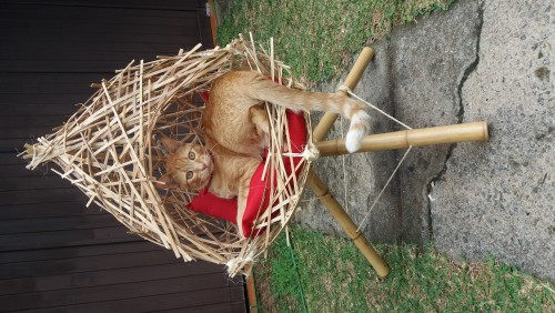 Raiz Natural Design - Galeria