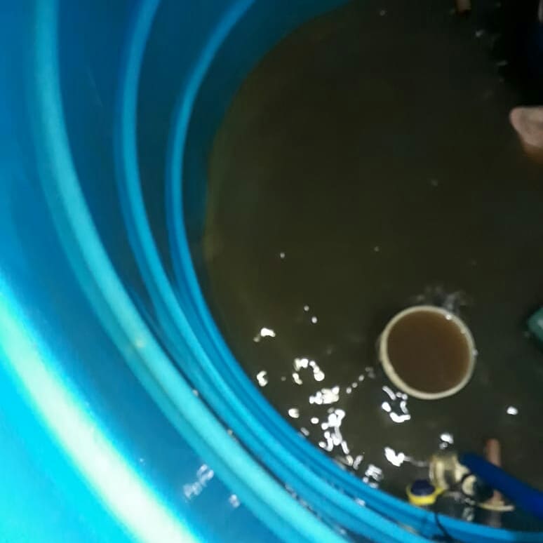 SGS Serviços - Galeria