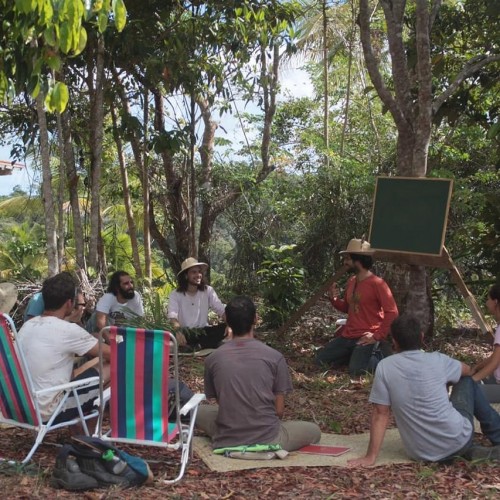 Torrão Cultura Sintrópica - Galeria